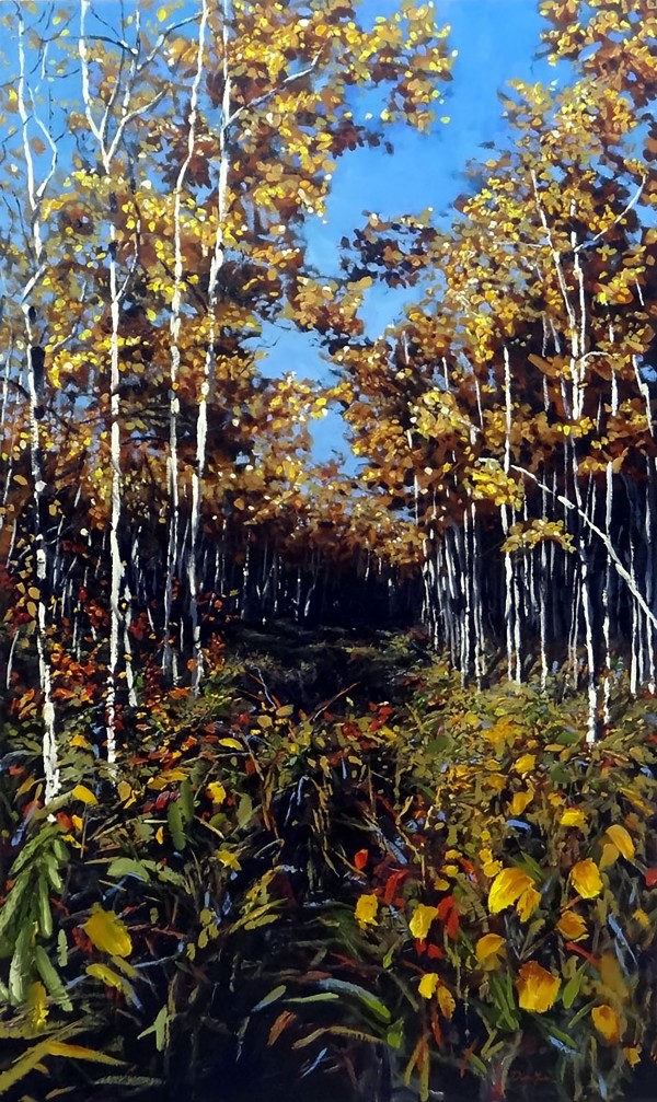 Fall Trail Fishcreek Park by Dean Miller